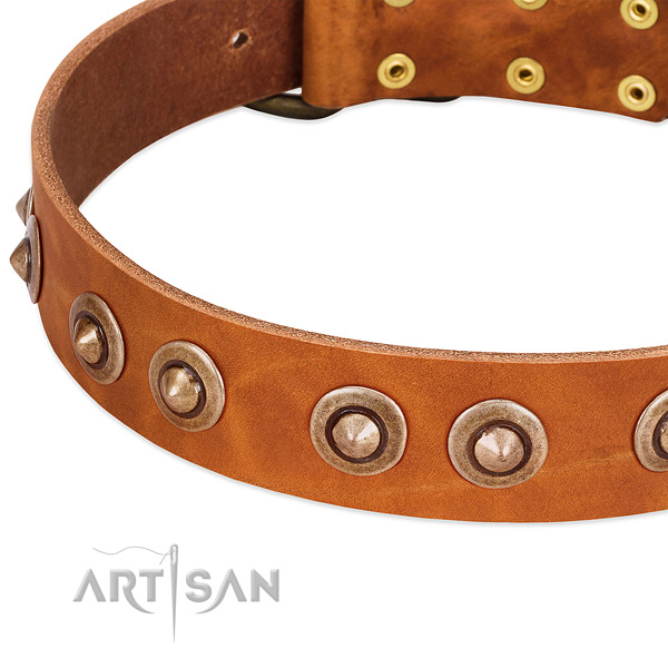 Strong adornments on full grain leather dog collar for your canine