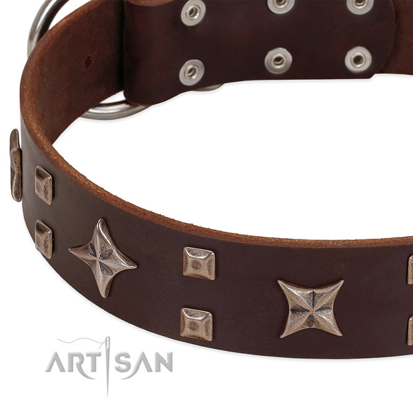 Corrosion proof traditional buckle on leather collar for walking your doggie