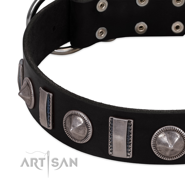 Unique genuine leather dog collar with rust resistant studs