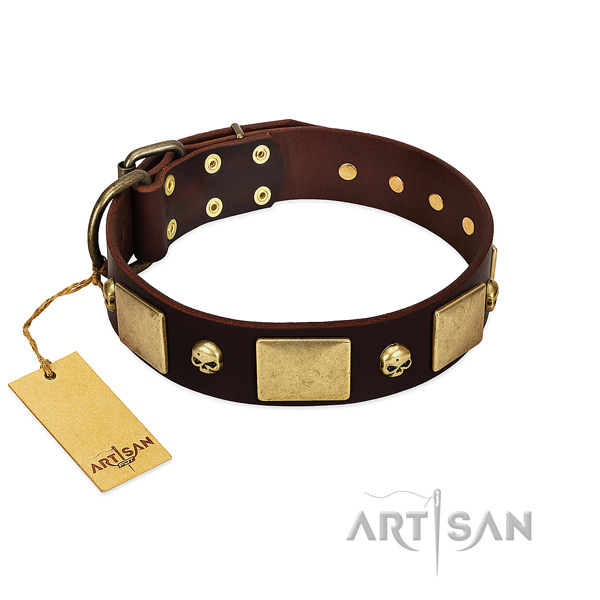 Flexible natural leather dog collar with rust-proof adornments