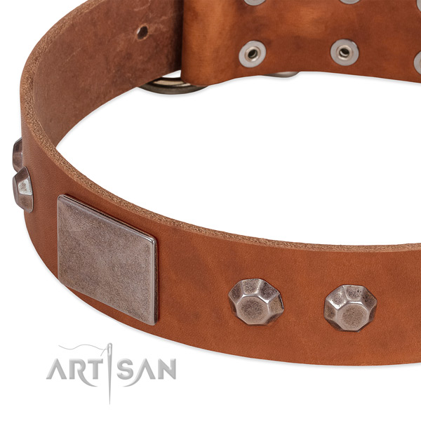Everyday use high quality genuine leather dog collar