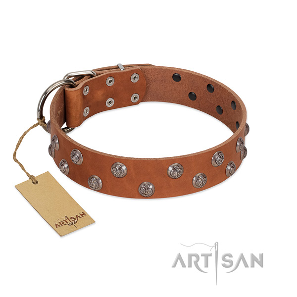 Reliable natural leather dog collar with studs