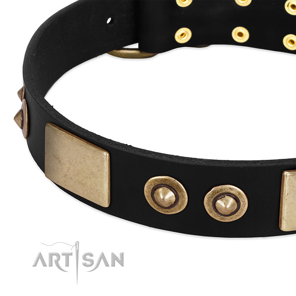 Durable buckle on leather dog collar for your canine