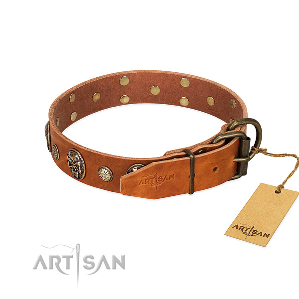 Corrosion proof traditional buckle on genuine leather collar for daily walking your pet