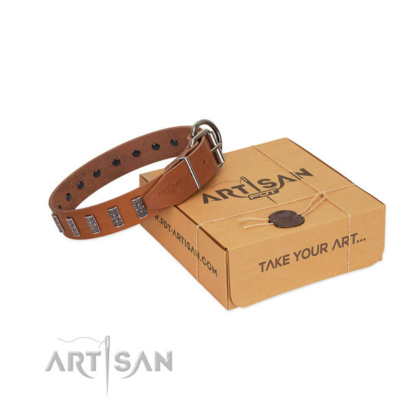 Rust resistant hardware on genuine leather collar for stylish walking your dog