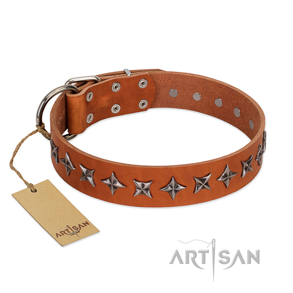 Everyday walking dog collar of top quality natural leather with embellishments