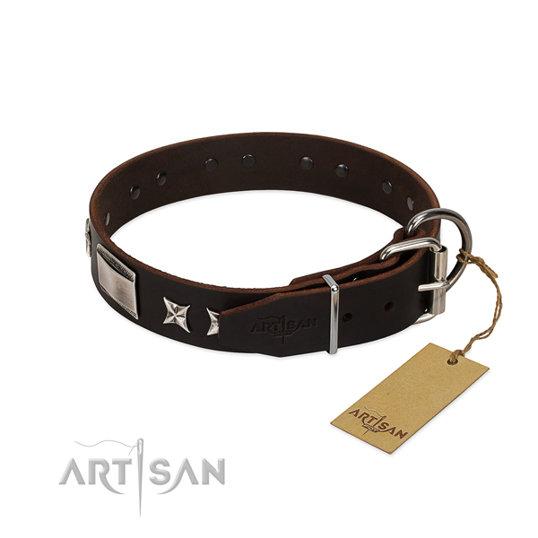 Exceptional collar of genuine leather for your beautiful four-legged friend