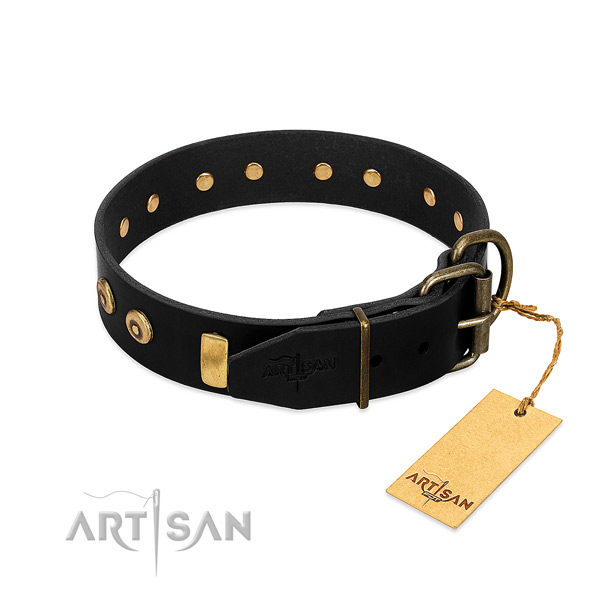 Reliable full grain leather collar with incredible studs for your dog