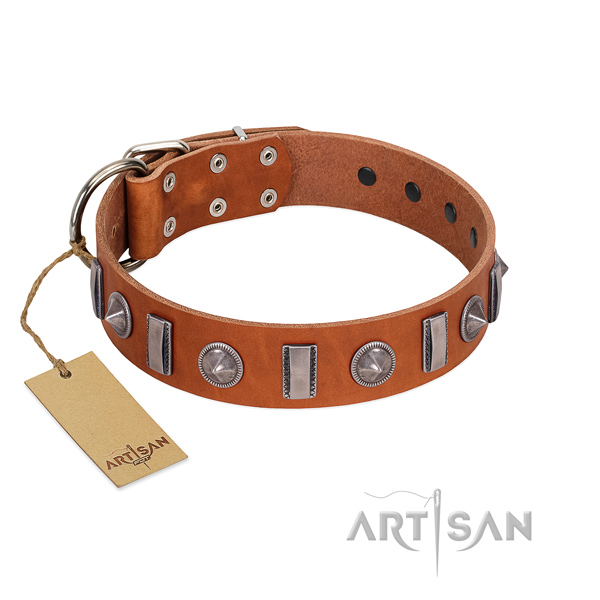Soft to touch full grain natural leather dog collar with studs for everyday walking
