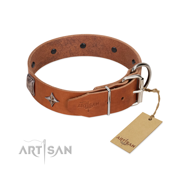 Top rate natural leather dog collar with amazing studs