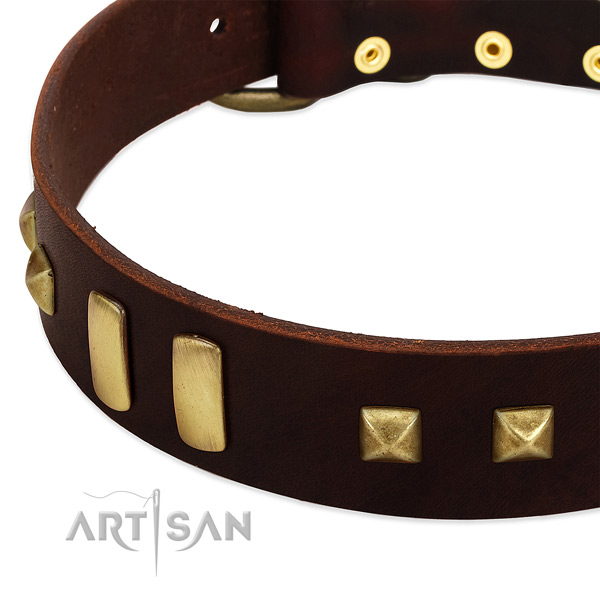 High quality leather dog collar with adornments for comfortable wearing