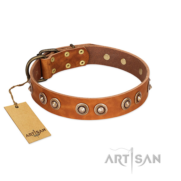 Corrosion resistant buckle on full grain leather dog collar for your canine