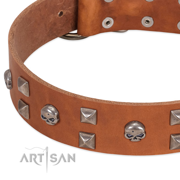 Best quality natural leather dog collar handmade for your canine