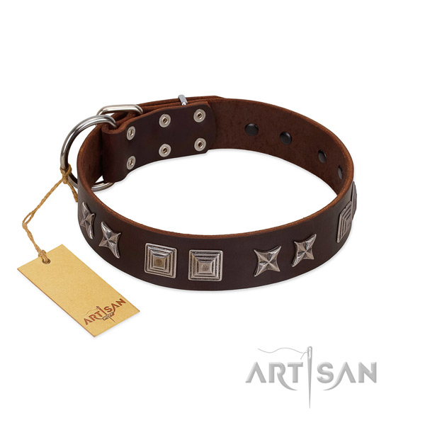 Natural leather dog collar with stylish decorations handmade four-legged friend