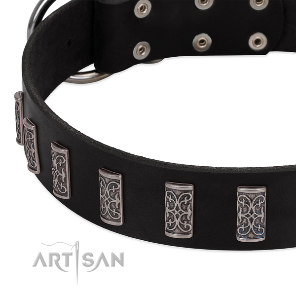 Stunning genuine leather collar for your four-legged friend everyday walking