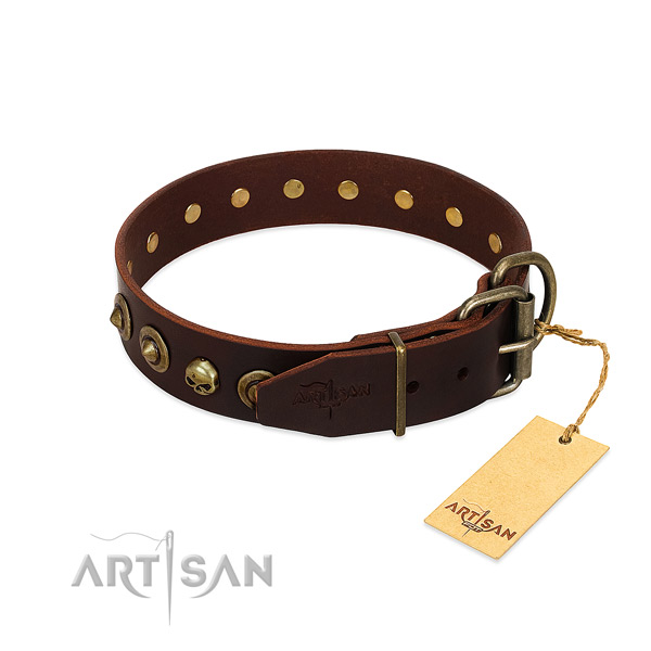 Leather collar with remarkable embellishments for your doggie