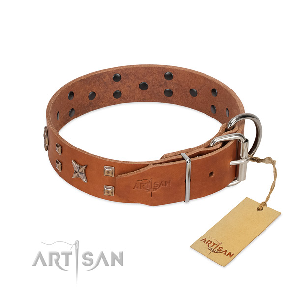 Quality leather dog collar for your beautiful doggie