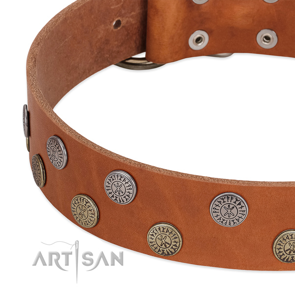 Top notch natural leather collar for everyday use your dog