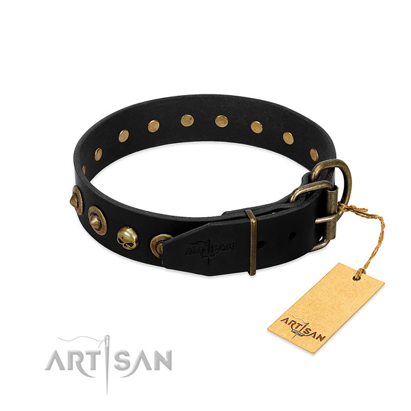 Full grain natural leather collar with stylish design embellishments for your dog