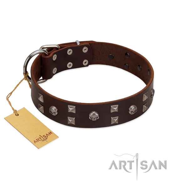 Basic training dog collar of natural leather with unusual decorations