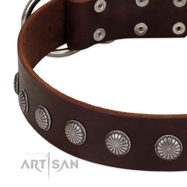 Soft to touch leather dog collar with adornments for easy wearing