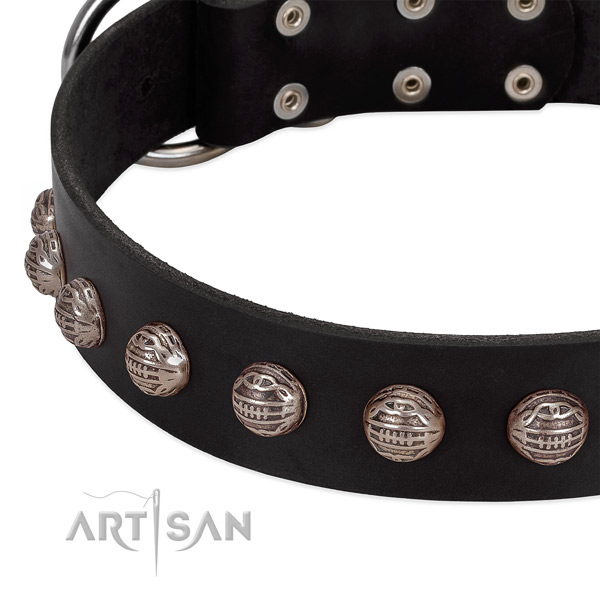 Genuine leather collar with incredible adornments for your four-legged friend