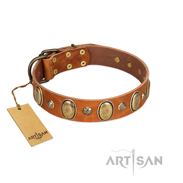 Genuine leather dog collar of best quality material with extraordinary adornments