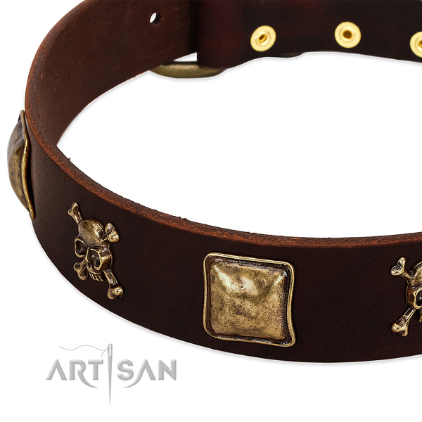 Top notch full grain genuine leather dog collar with remarkable decorations