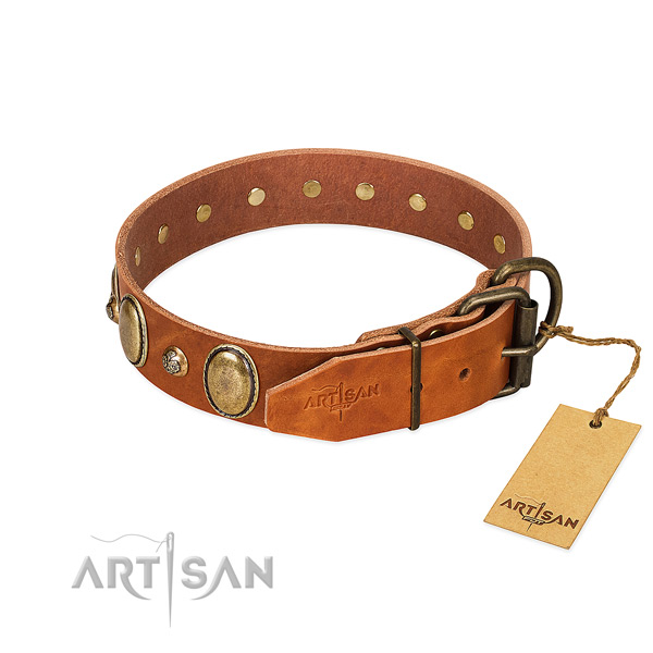 Durable D-ring on full grain natural leather collar for walking your pet