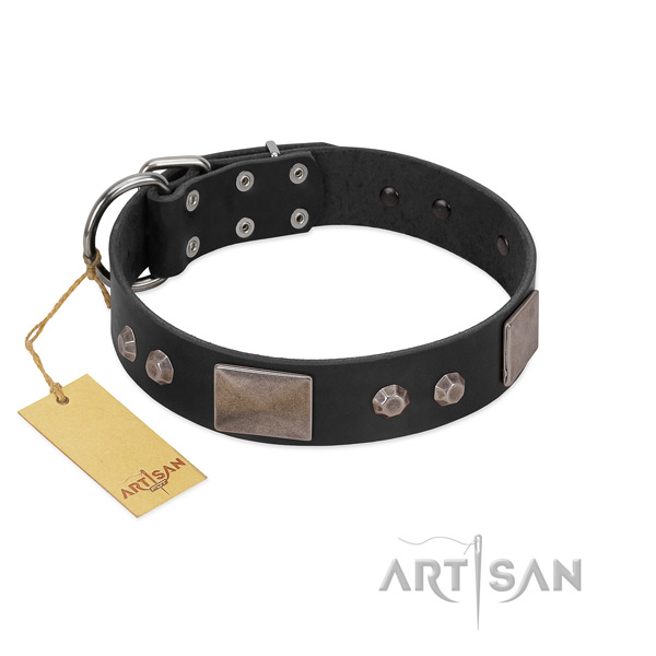 Stylish natural leather dog collar with rust-proof fittings
