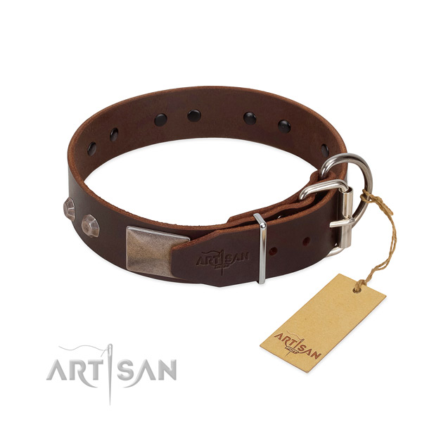 Exceptional full grain leather dog collar for everyday walking your canine