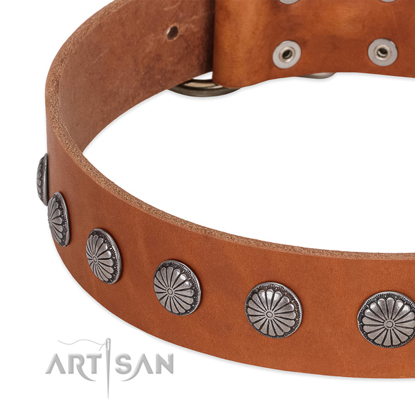 Quality genuine leather dog collar with embellishments for easy wearing