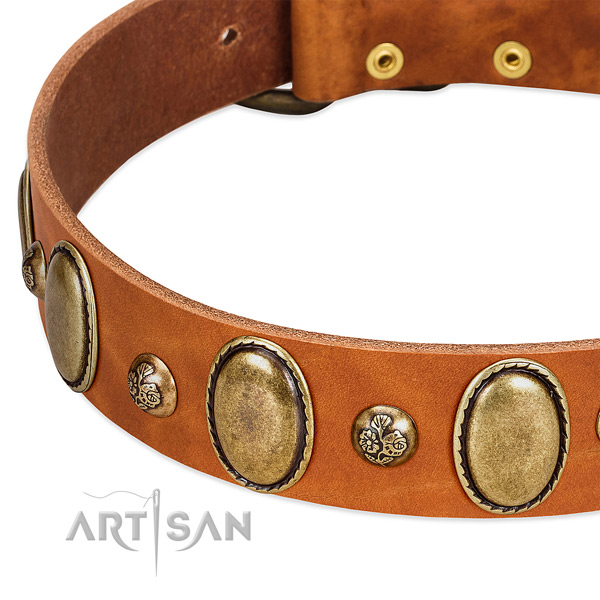 Natural leather dog collar with stylish studs