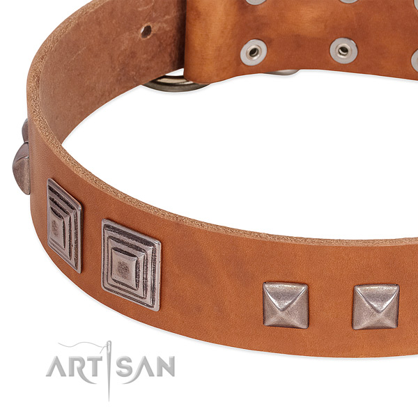 Corrosion proof fittings on full grain natural leather dog collar for comfortable wearing