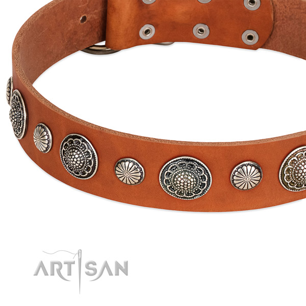 Natural leather collar with corrosion resistant buckle for your handsome four-legged friend
