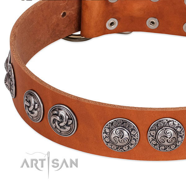 Unusual full grain natural leather dog collar for walking