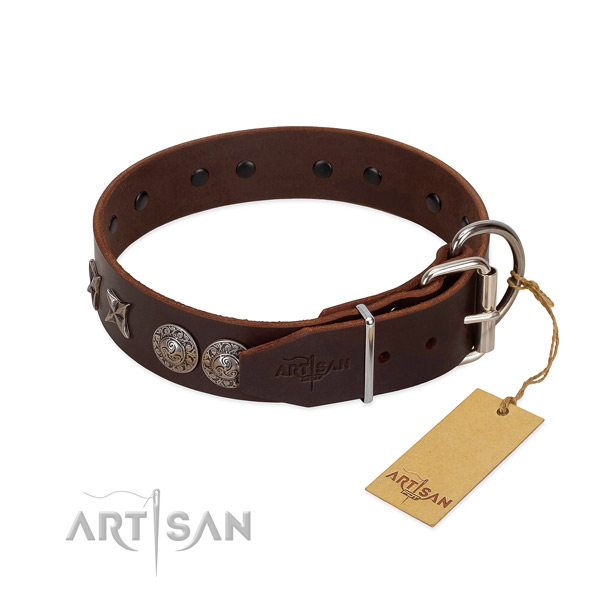 Walking dog collar of leather with incredible studs