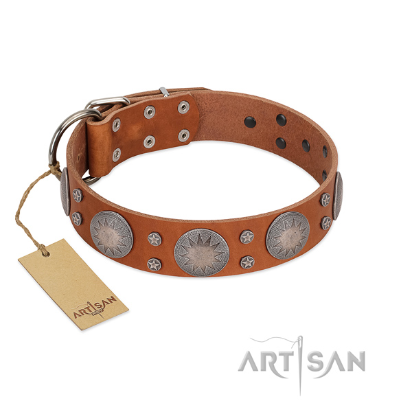Trendy leather collar for your lovely four-legged friend