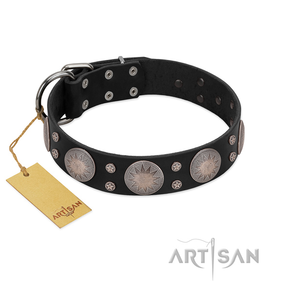 Awesome adorned full grain genuine leather dog collar
