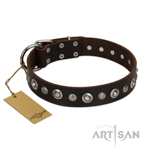 Best quality full grain leather dog collar with significant studs