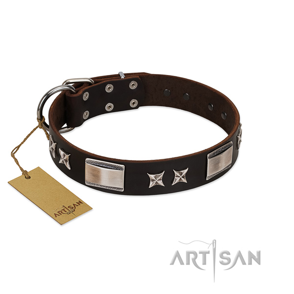 Impressive dog collar of natural leather