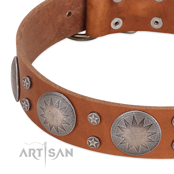 Top rate leather dog collar with rust-proof traditional buckle