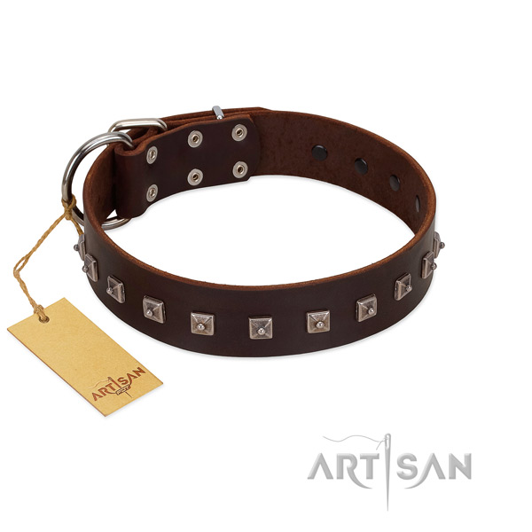 Unique decorated full grain genuine leather dog collar
