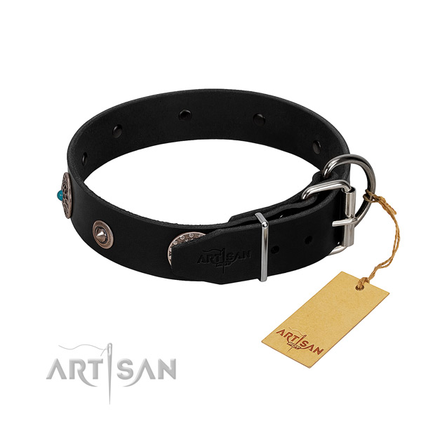 Exquisite adorned leather dog collar