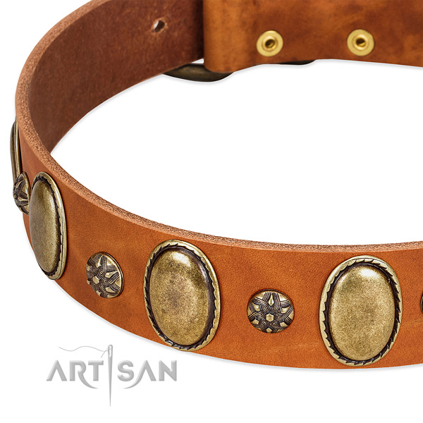 Daily use top rate full grain genuine leather dog collar