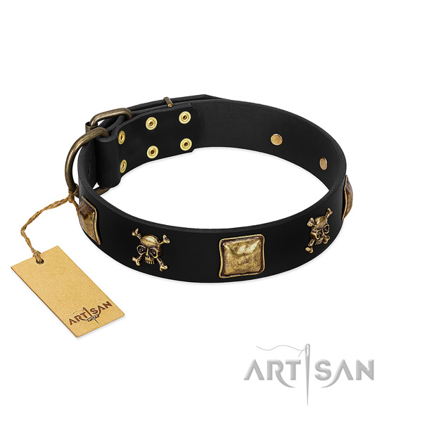 Best quality full grain natural leather collar with adornments for your dog