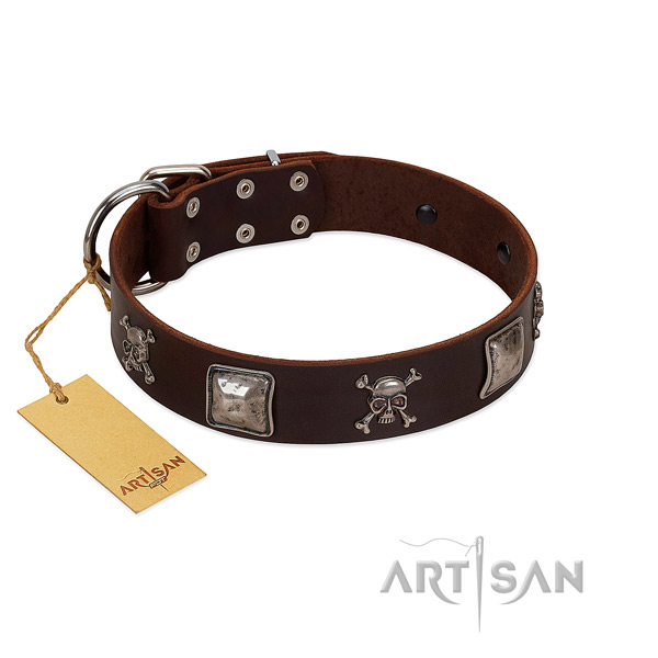 Top notch studded genuine leather dog collar