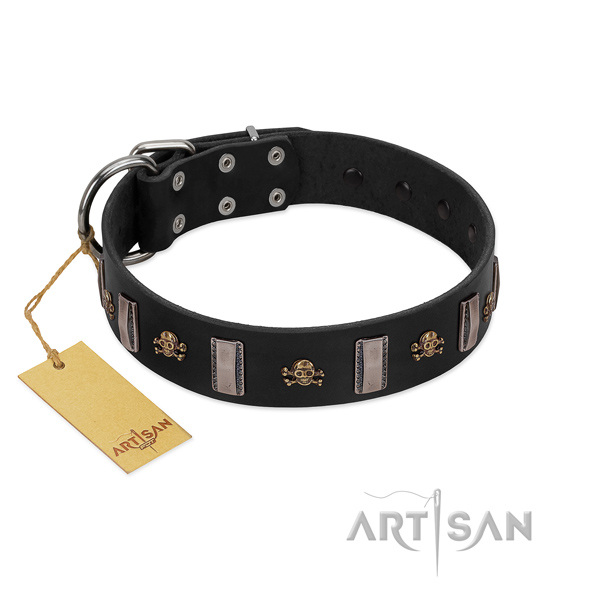 Genuine leather dog collar with exceptional decorations for your four-legged friend