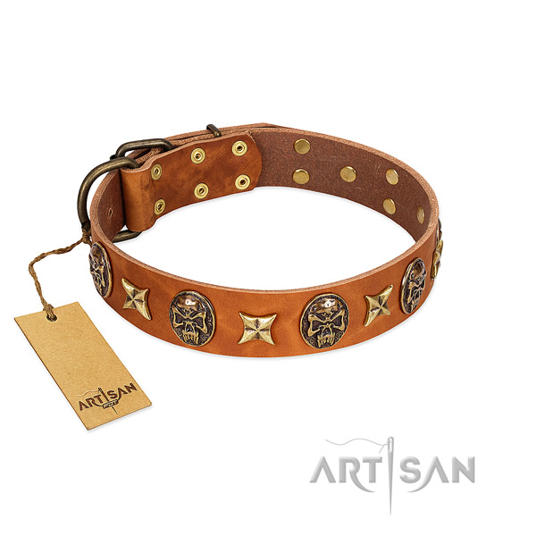 Stylish full grain natural leather collar for your doggie
