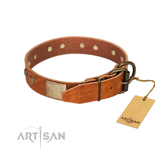 Rust-proof adornments on comfortable wearing dog collar